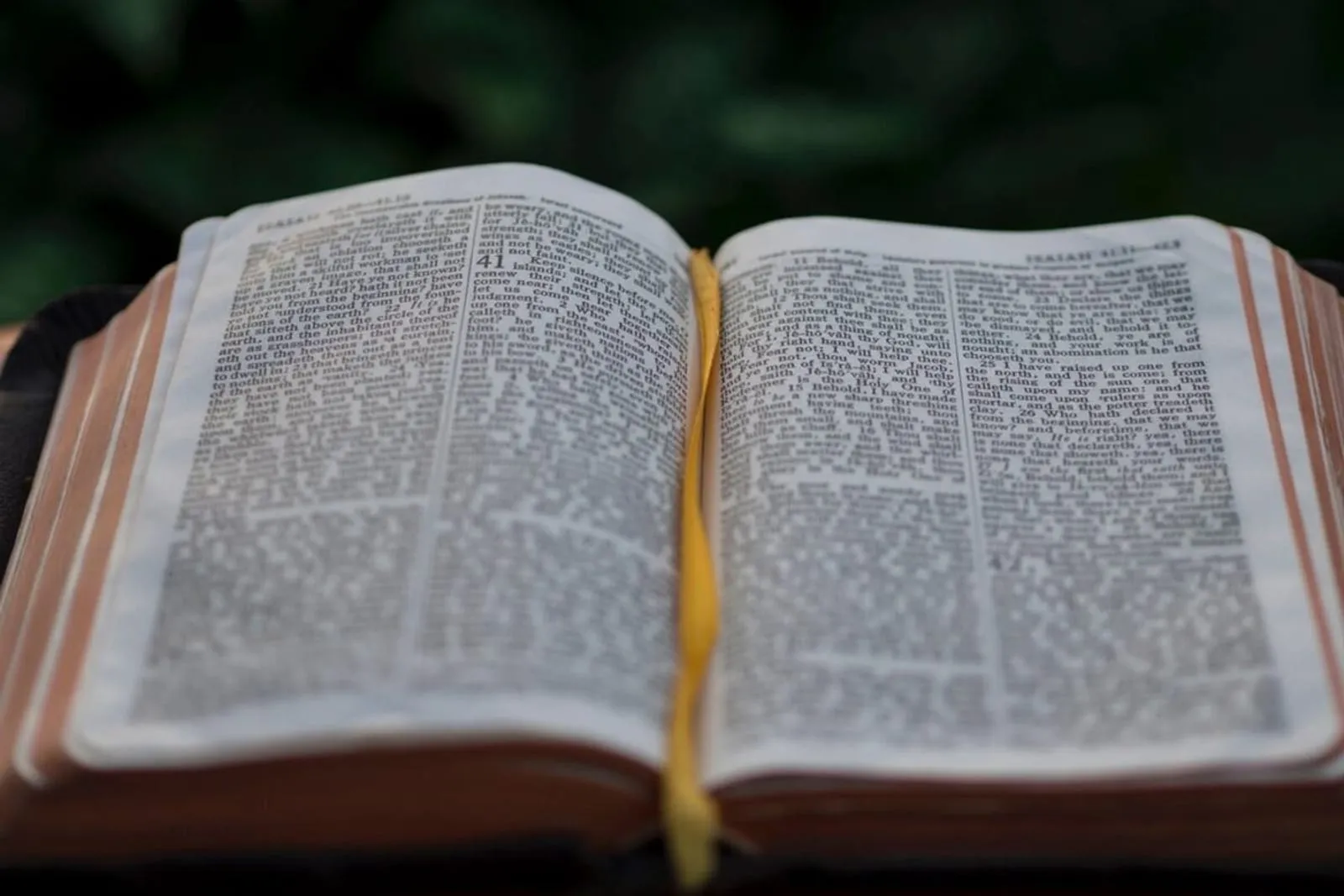 An open book photographed from above